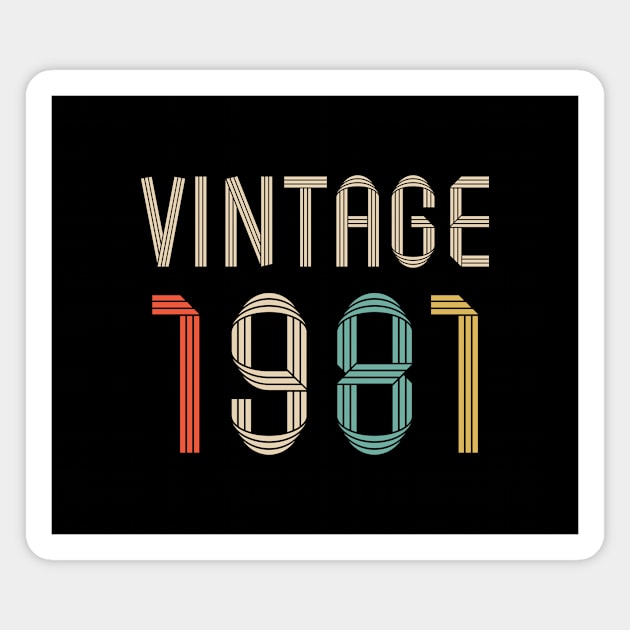 Vintage 1981 41 years old birthday Magnet by hoopoe